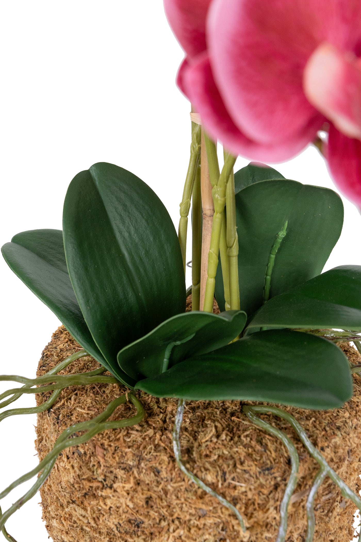 Orhidee artificiala roz-magenta cu aspect natural H59 cm cu 5 tulpini