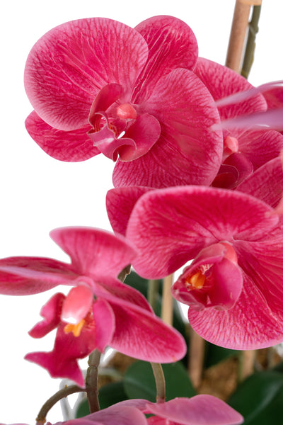 Orhidee artificiala roz-magenta cu aspect natural H61 cm cu 3 tulpini