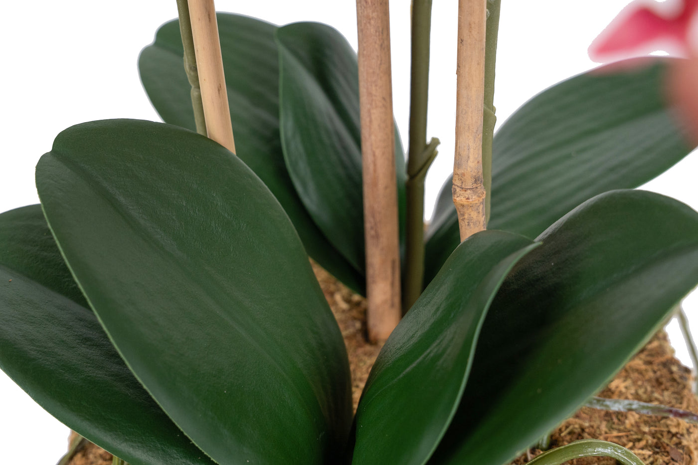 Orhidee artificiala roz-magenta cu aspect natural H61 cm cu 3 tulpini