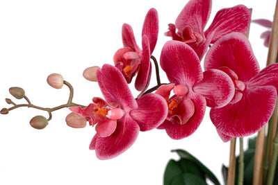 Orhidee artificiala roz-magenta cu aspect natural H90 cm cu 9 tulpini