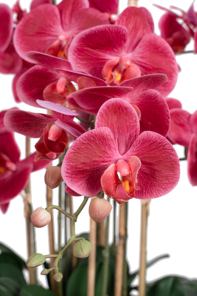 Orhidee artificiala roz-magenta cu aspect natural H90 cm cu 9 tulpini