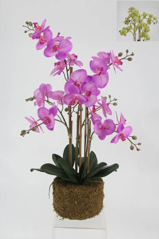 Orhidee artificiala verde cu aspect natural H70 cm cu 6 tulpini
