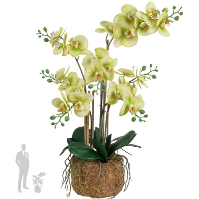 Orhidee artificiala verde cu aspect natural H70 cm cu 7 tulpini