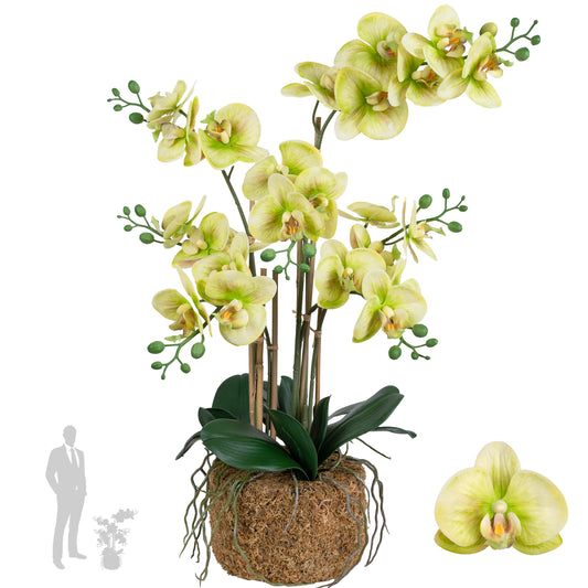 Orhidee artificiala verde cu aspect natural H70 cm cu 7 tulpini