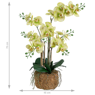 Orhidee artificiala verde cu aspect natural H70 cm cu 7 tulpini