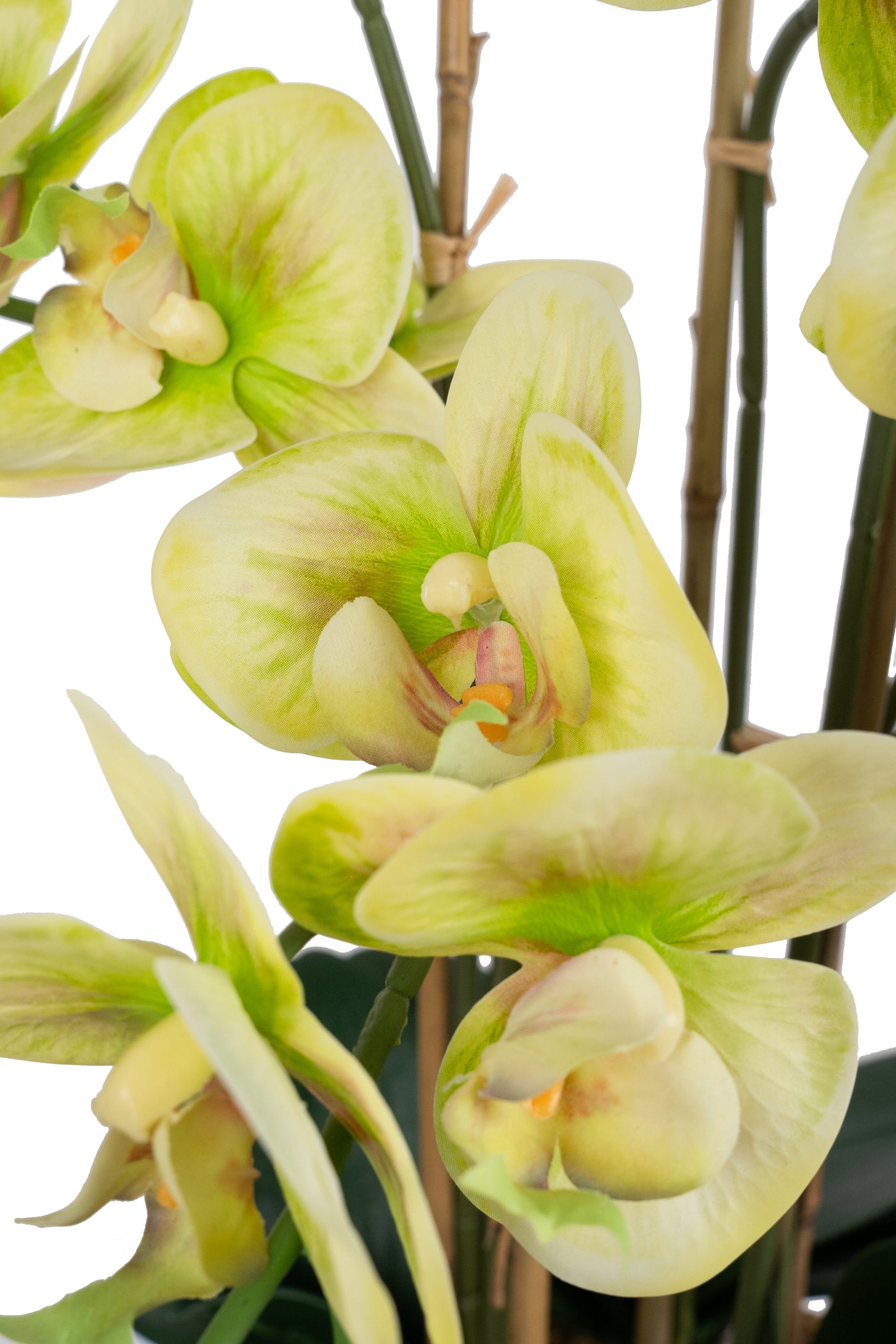 Orhidee artificiala verde cu aspect natural H70 cm cu 7 tulpini