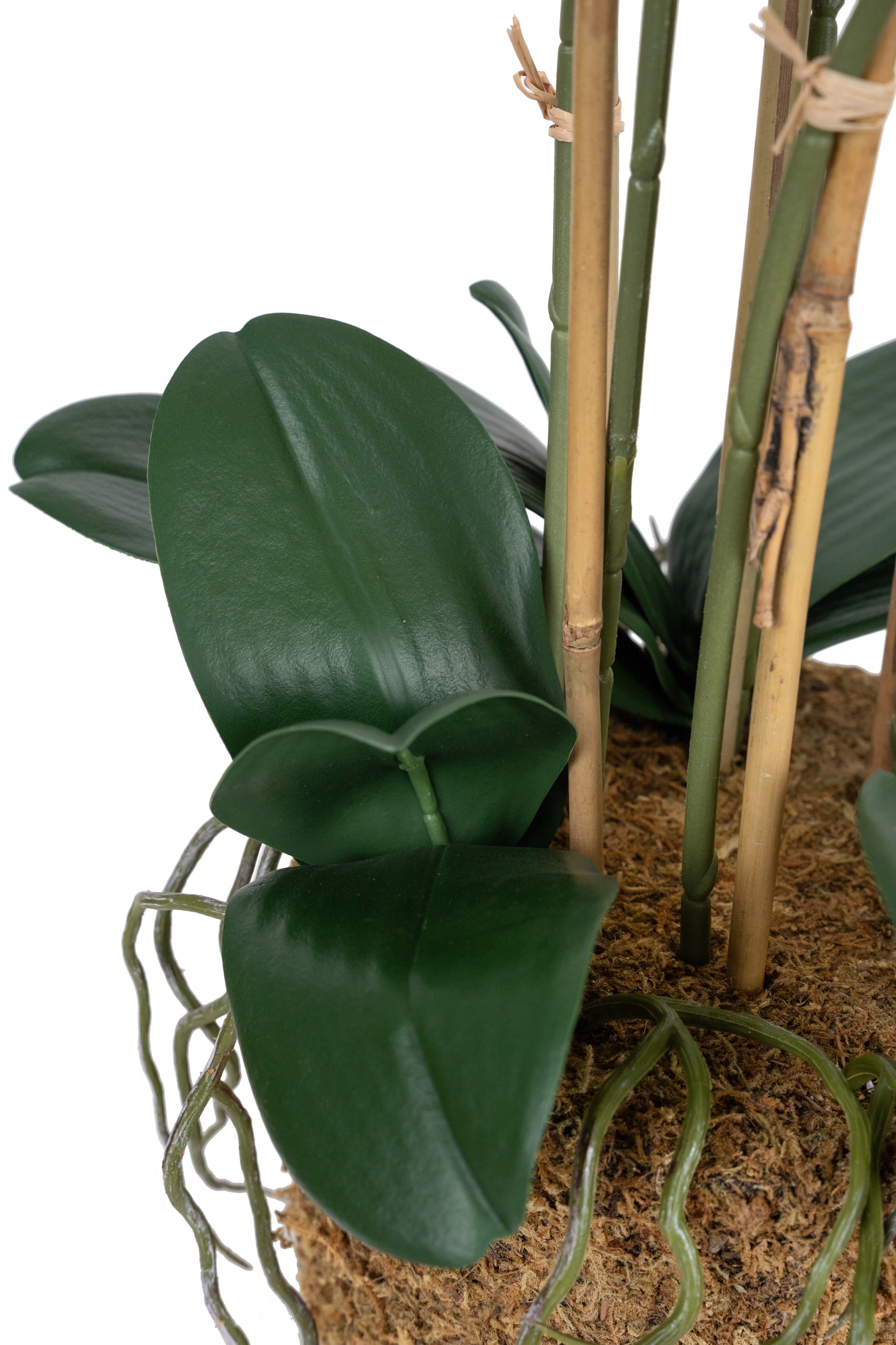 Orhidee artificiala verde cu aspect natural H70 cm cu 7 tulpini