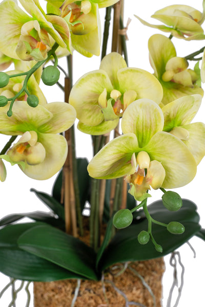 Orhidee artificiala verde cu aspect natural H70 cm cu 7 tulpini