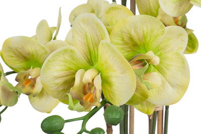 Orhidee artificiala verde cu aspect natural H70 cm cu 7 tulpini