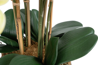 Orhidee artificiala verde cu aspect natural H70 cm cu 7 tulpini