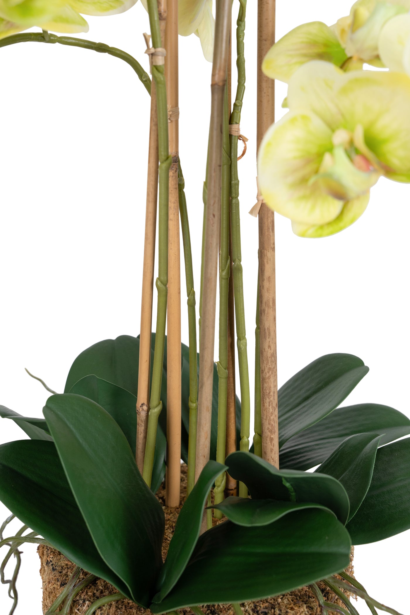 Orhidee artificiala verde cu aspect natural H72 cm cu 6 tulpini