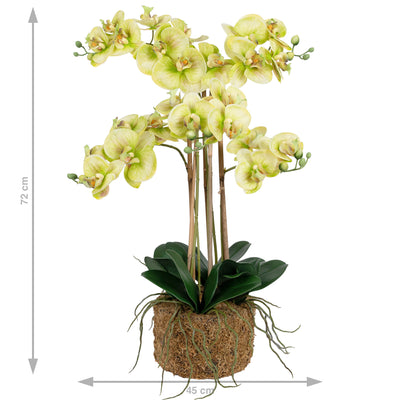 Orhidee artificiala verde cu aspect natural H72 cm cu 6 tulpini