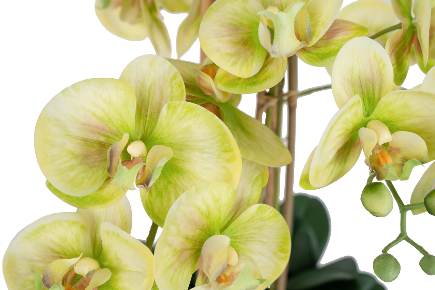 Orhidee artificiala verde cu aspect natural H72 cm cu 6 tulpini