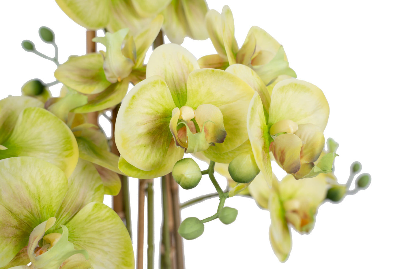 Orhidee artificiala verde cu aspect natural H72 cm cu 6 tulpini