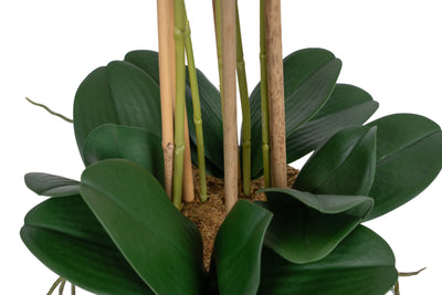 Orhidee artificiala verde cu aspect natural H72 cm cu 6 tulpini