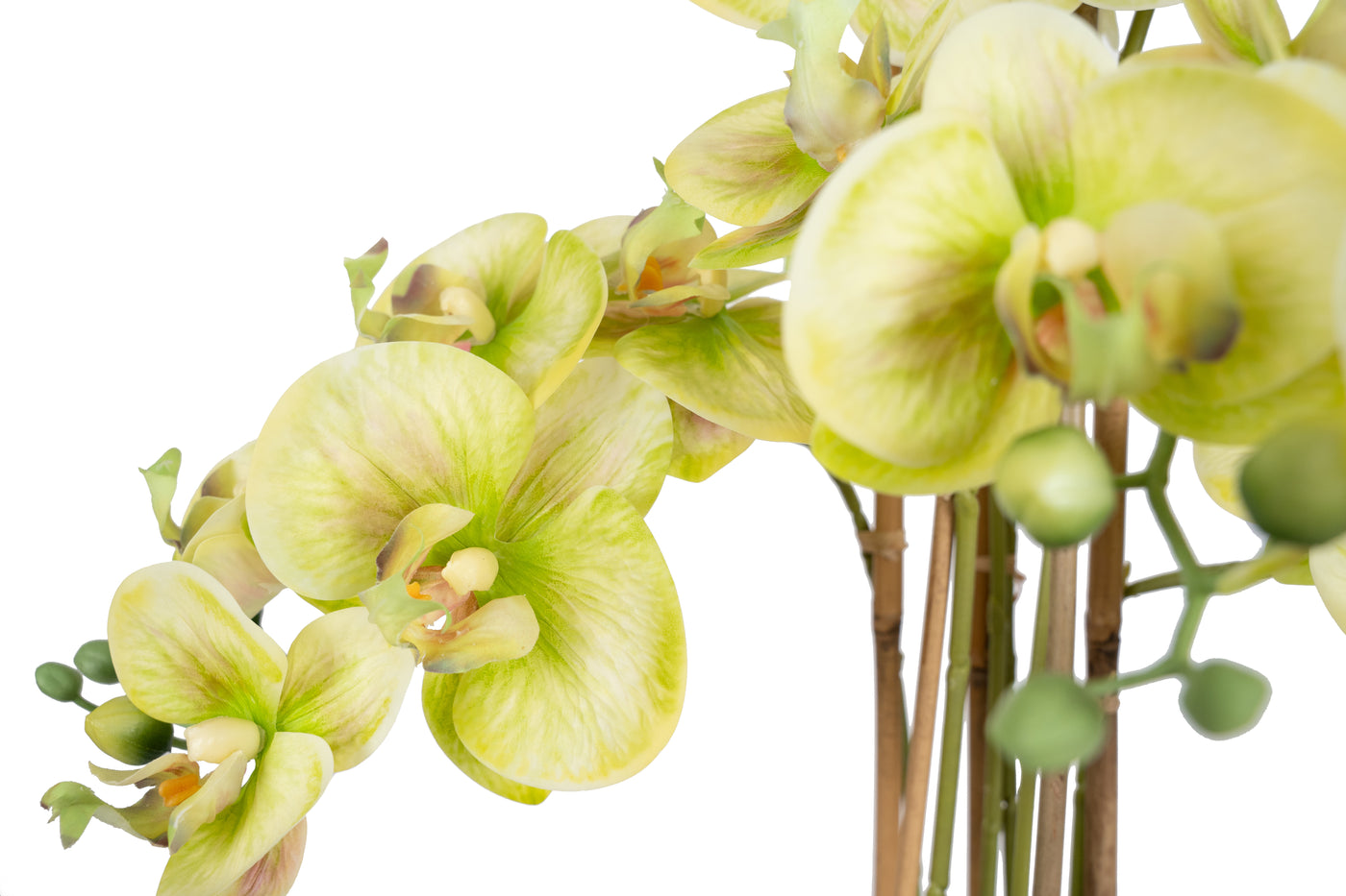 Orhidee artificiala verde cu aspect natural H72 cm cu 6 tulpini