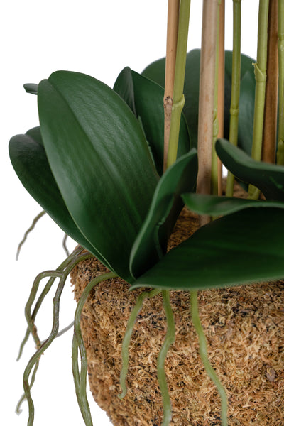 Orhidee artificiala verde cu aspect natural H72 cm cu 6 tulpini