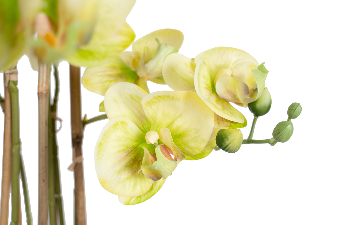 Orhidee artificiala verde cu aspect natural H72 cm cu 6 tulpini