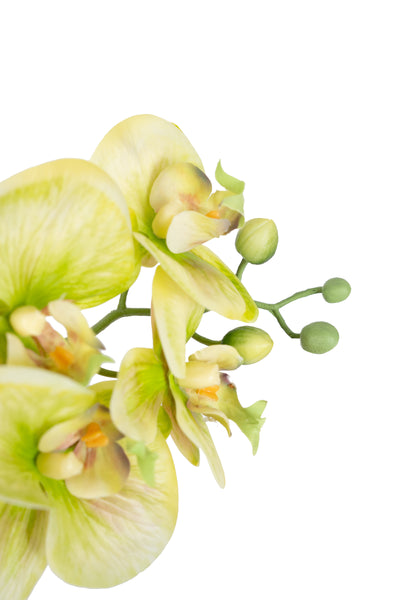 Orhidee artificiala verde cu aspect natural H72 cm cu 6 tulpini