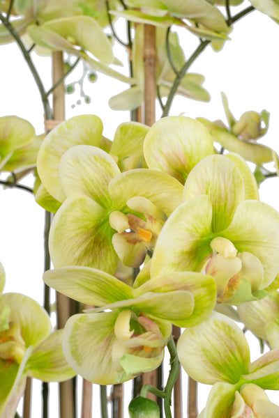 Orhidee artificiala verde cu aspect natural H90 cm cu 9 tulpini