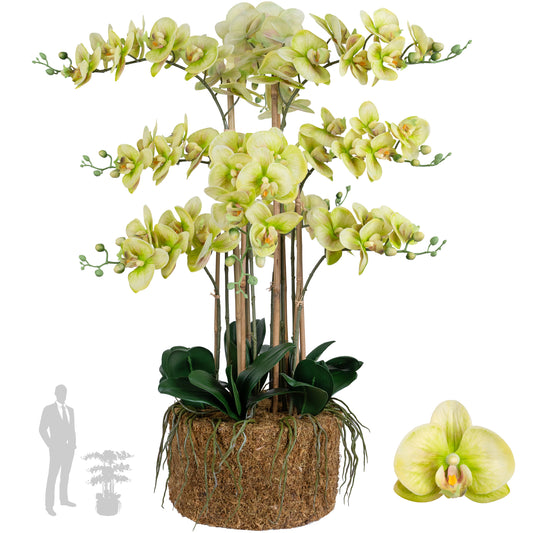 Orhidee artificiala verde cu aspect natural H90 cm cu 9 tulpini