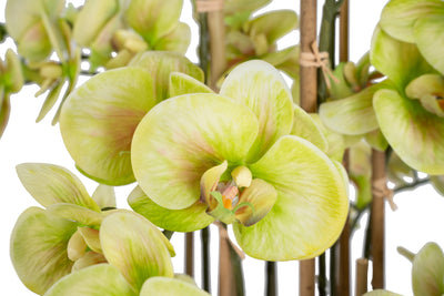 Orhidee artificiala verde cu aspect natural H90 cm cu 9 tulpini