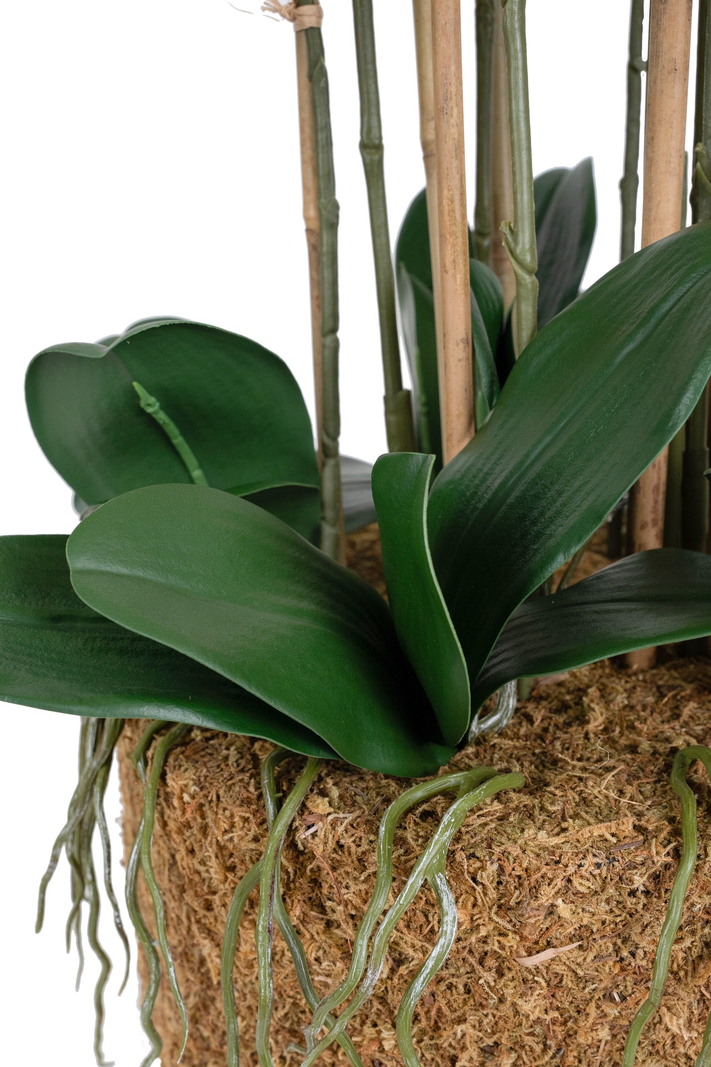 Orhidee artificiala verde cu aspect natural H90 cm cu 9 tulpini