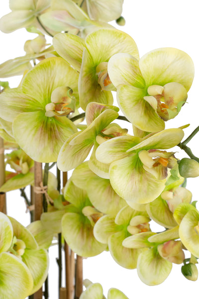 Orhidee artificiala verde cu aspect natural H90 cm cu 9 tulpini