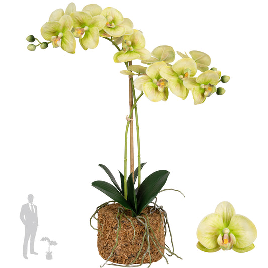 Orhidee artificiala verde cu galben cu aspect natural H56 cm cu 2 tulpini