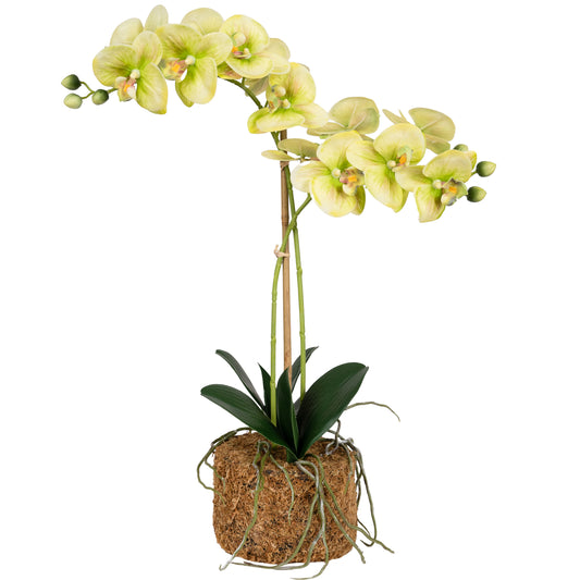 Orhidee artificiala verde cu galben cu aspect natural H56 cm cu 2 tulpini
