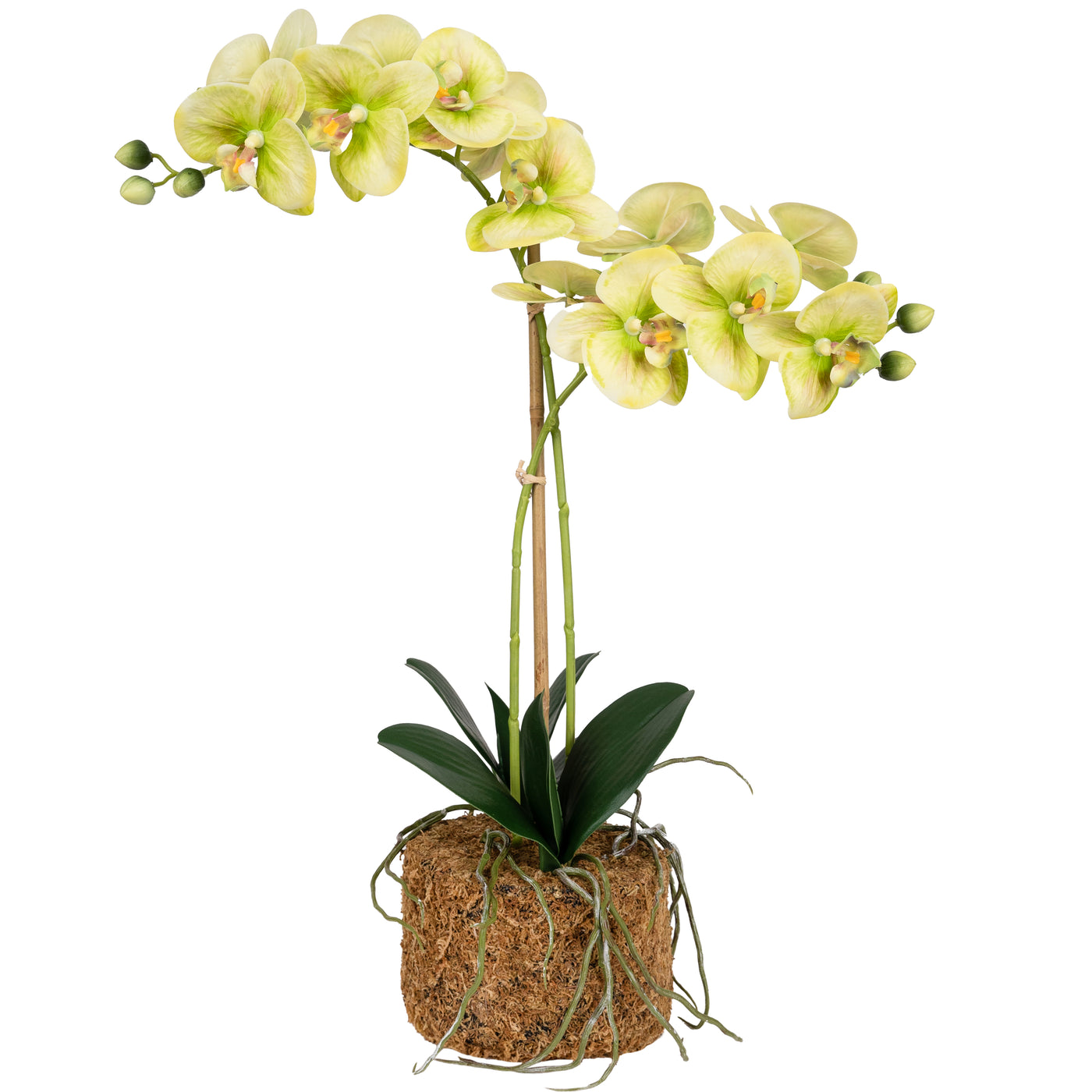 Orhidee artificiala verde cu galben cu aspect natural H56 cm cu 2 tulpini