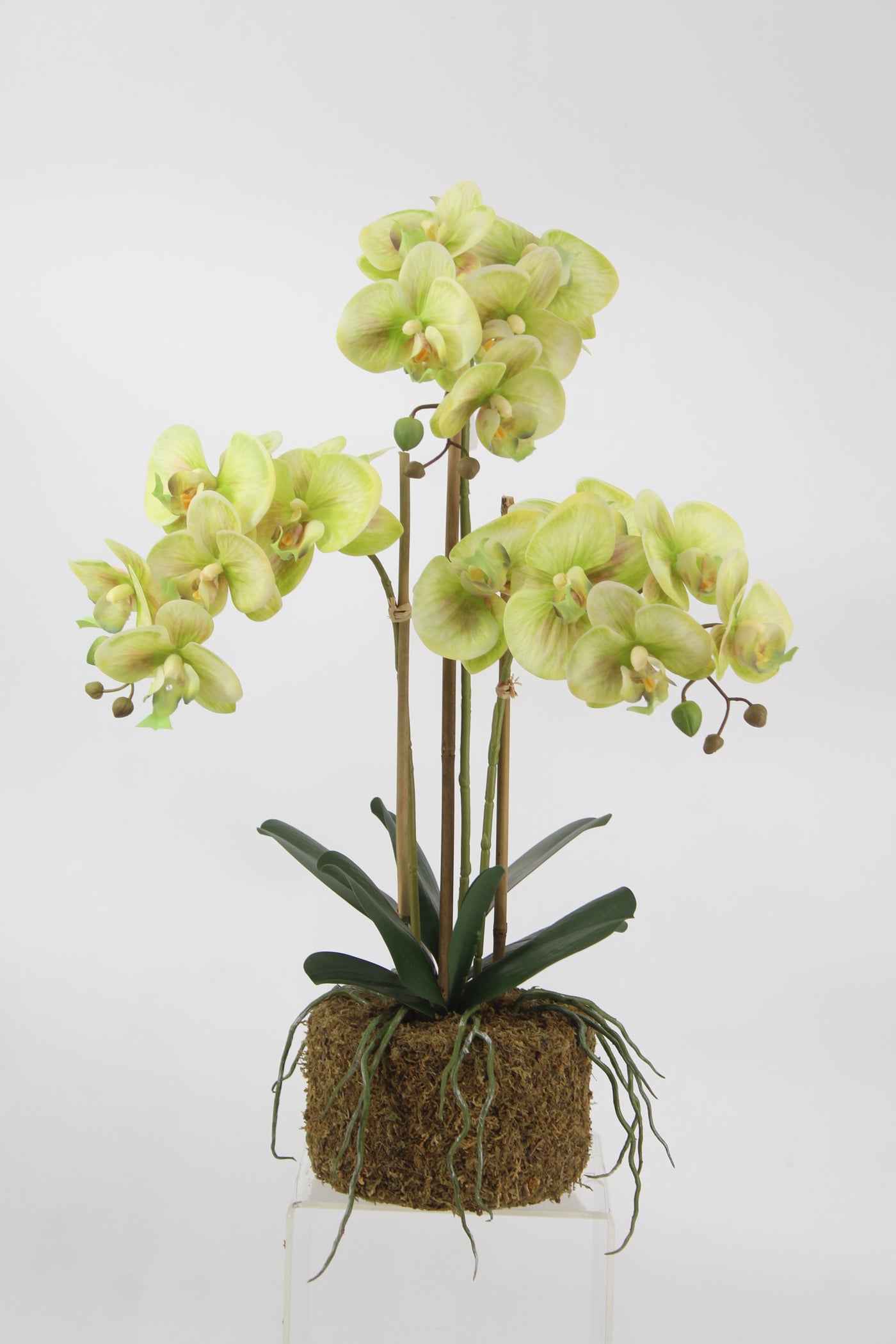 Orhidee artificiala verde cu galben cu aspect natural H61 cm cu 3 tulpini