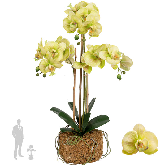 Orhidee artificiala verde cu galben cu aspect natural H61 cm cu 3 tulpini