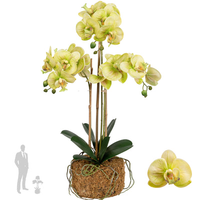 Orhidee artificiala verde cu galben cu aspect natural H61 cm cu 3 tulpini