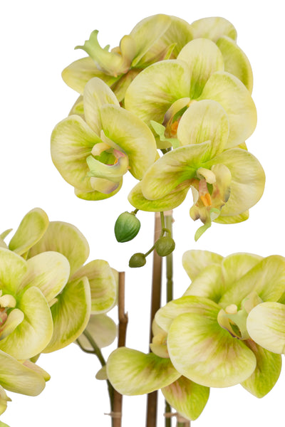 Orhidee artificiala verde cu galben cu aspect natural H61 cm cu 3 tulpini