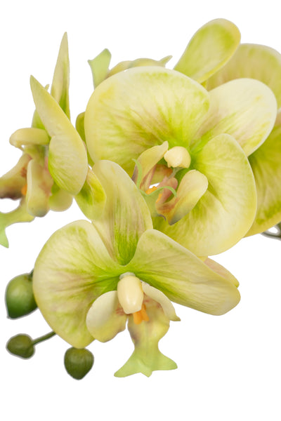 Orhidee artificiala verde cu galben cu aspect natural H61 cm cu 3 tulpini