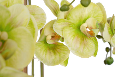 Orhidee artificiala verde cu galben cu aspect natural H61 cm cu 3 tulpini