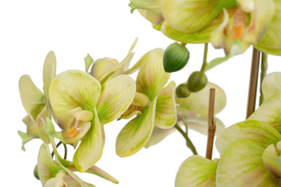 Orhidee artificiala verde cu galben cu aspect natural H61 cm cu 3 tulpini