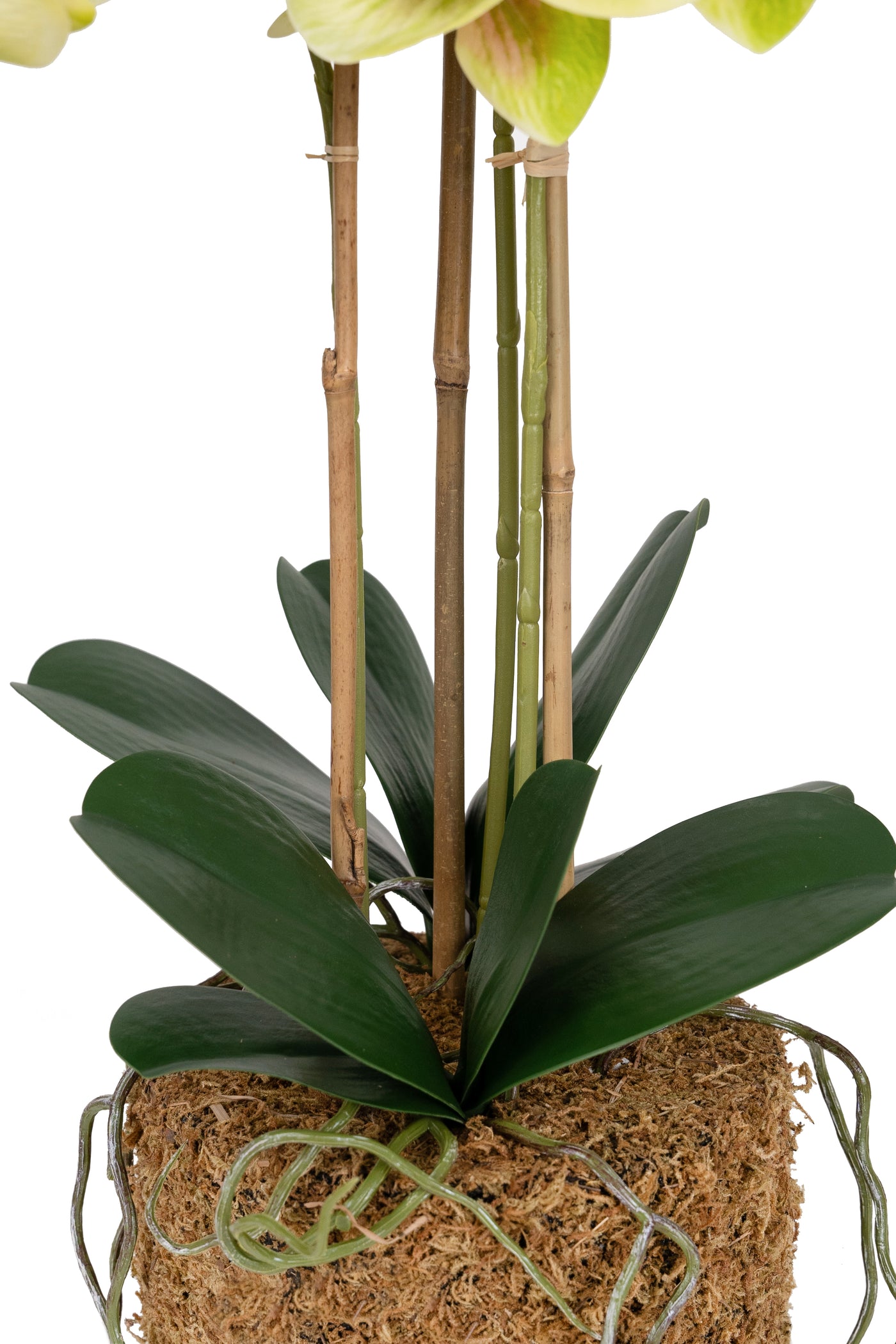 Orhidee artificiala verde cu galben cu aspect natural H61 cm cu 3 tulpini