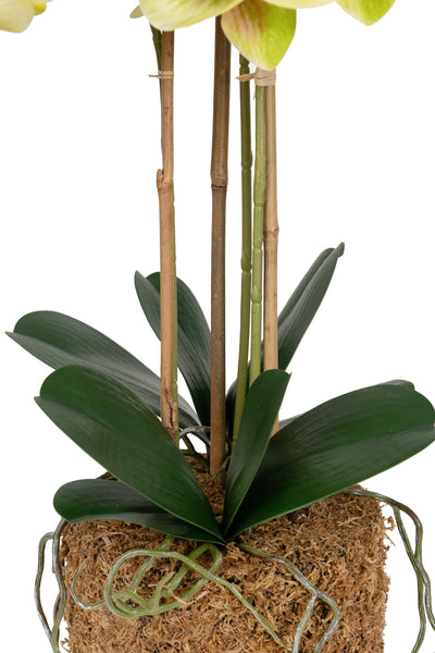 Orhidee artificiala verde cu galben cu aspect natural H61 cm cu 3 tulpini