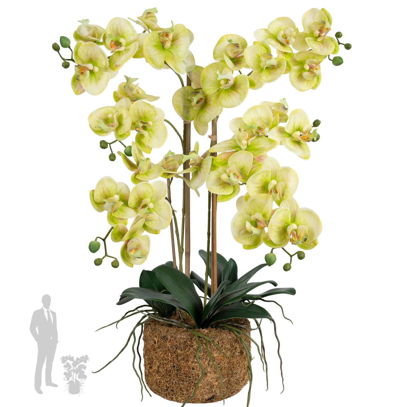 Orhidee artificiala verde cu galben cu aspect natural H66 cm cu 4 tulpini