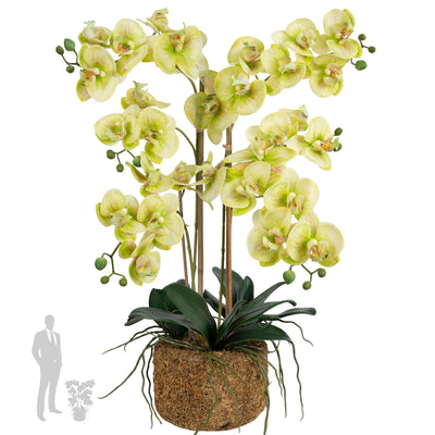 Orhidee artificiala verde cu galben cu aspect natural H66 cm cu 4 tulpini