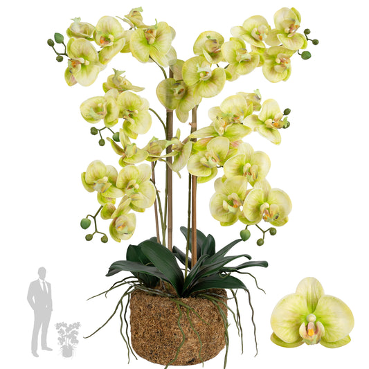 Orhidee artificiala verde cu galben cu aspect natural H66 cm cu 4 tulpini