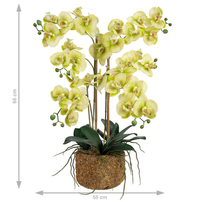 Orhidee artificiala verde cu galben cu aspect natural H66 cm cu 4 tulpini
