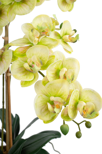 Orhidee artificiala verde cu galben cu aspect natural H66 cm cu 4 tulpini