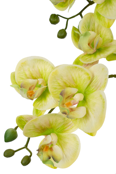 Orhidee artificiala verde cu galben cu aspect natural H66 cm cu 4 tulpini