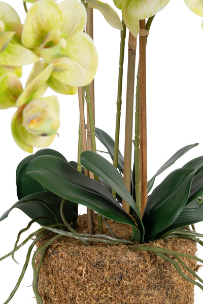 Orhidee artificiala verde cu galben cu aspect natural H66 cm cu 4 tulpini