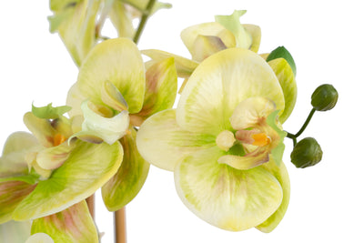 Orhidee artificiala verde cu galben cu aspect natural H66 cm cu 4 tulpini