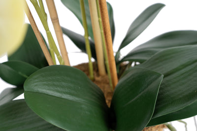 Orhidee artificiala verde cu galben cu aspect natural H66 cm cu 4 tulpini