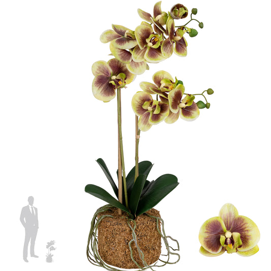 Orhidee artificiala verde cu grena cu aspect natural H53 cm cu 2 tulpini